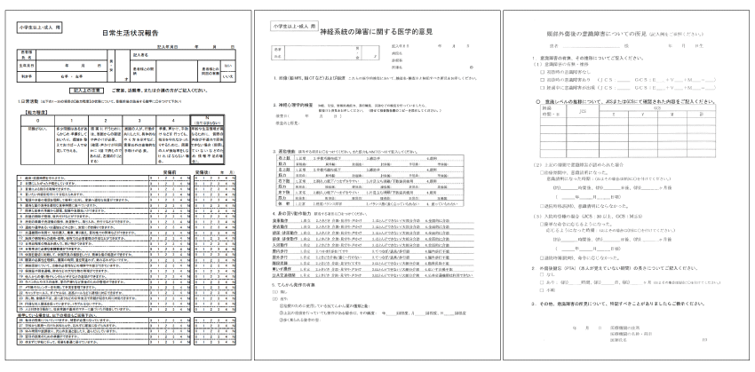 高次脳機能障害　日常生活状況報告書.png