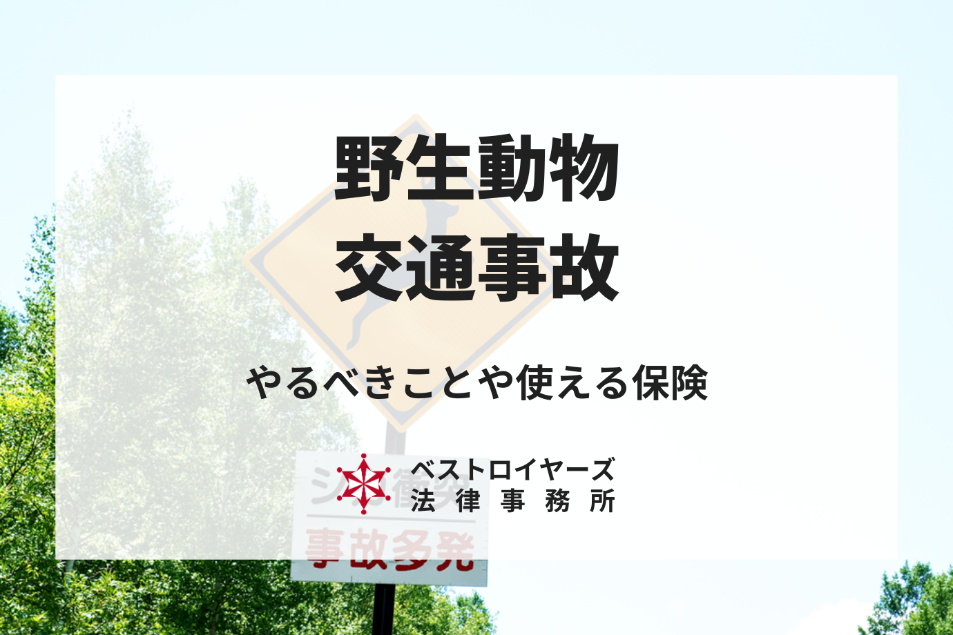 野生動物と事故での対処法とは｜やるべきことや使える保険を詳しく解説