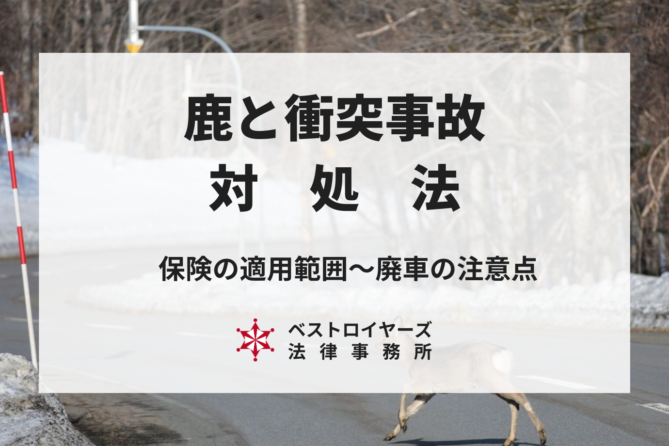 鹿との衝突事故の対処法は？保険の適用範囲や廃車時の注意点